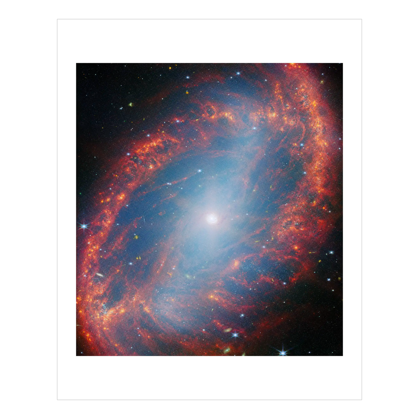 A Close Look at Local Galaxy NGC 2566 (NIRCam)