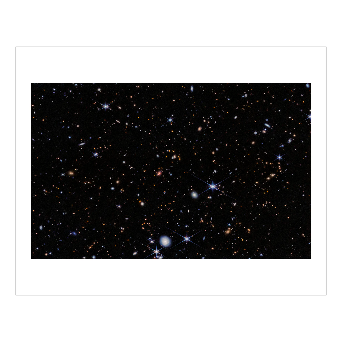 Spiderweb Protocluster (NIRCam)