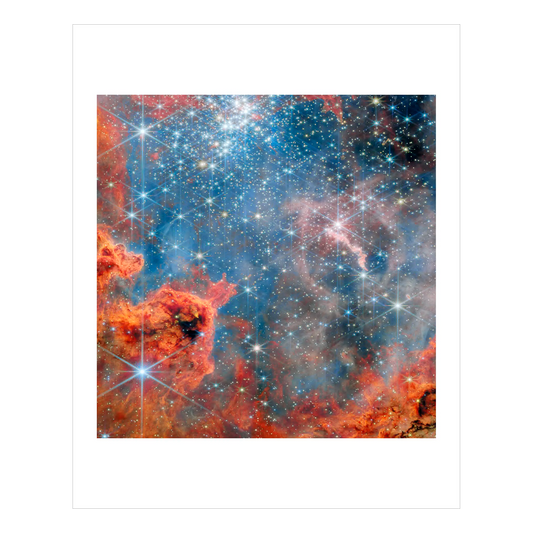 Glittering Dwarf Stars in Westerlund 2