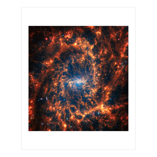 Spiral Galaxy NGC 2835