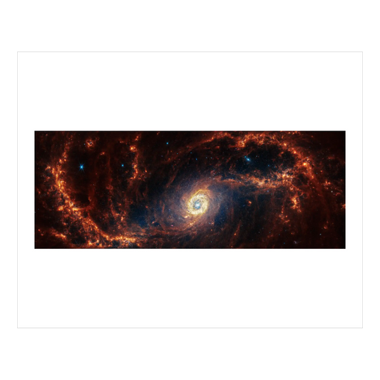 Spiral Galaxy NGC 1672