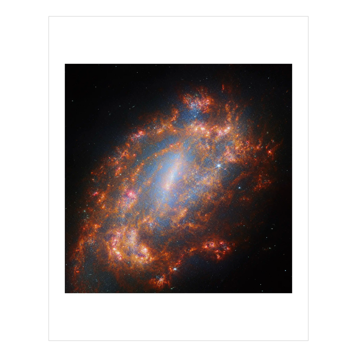 A Galactic Treasury (NGC 1559)