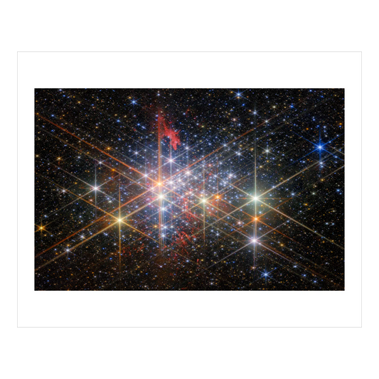 The Exotic Stellar Population of Westerlund 1