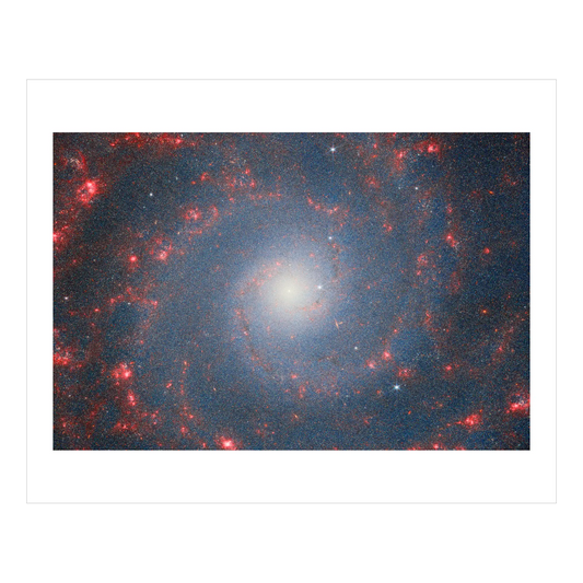 Catching the Edge of the Phantom Galaxy (NIRCam) - Section