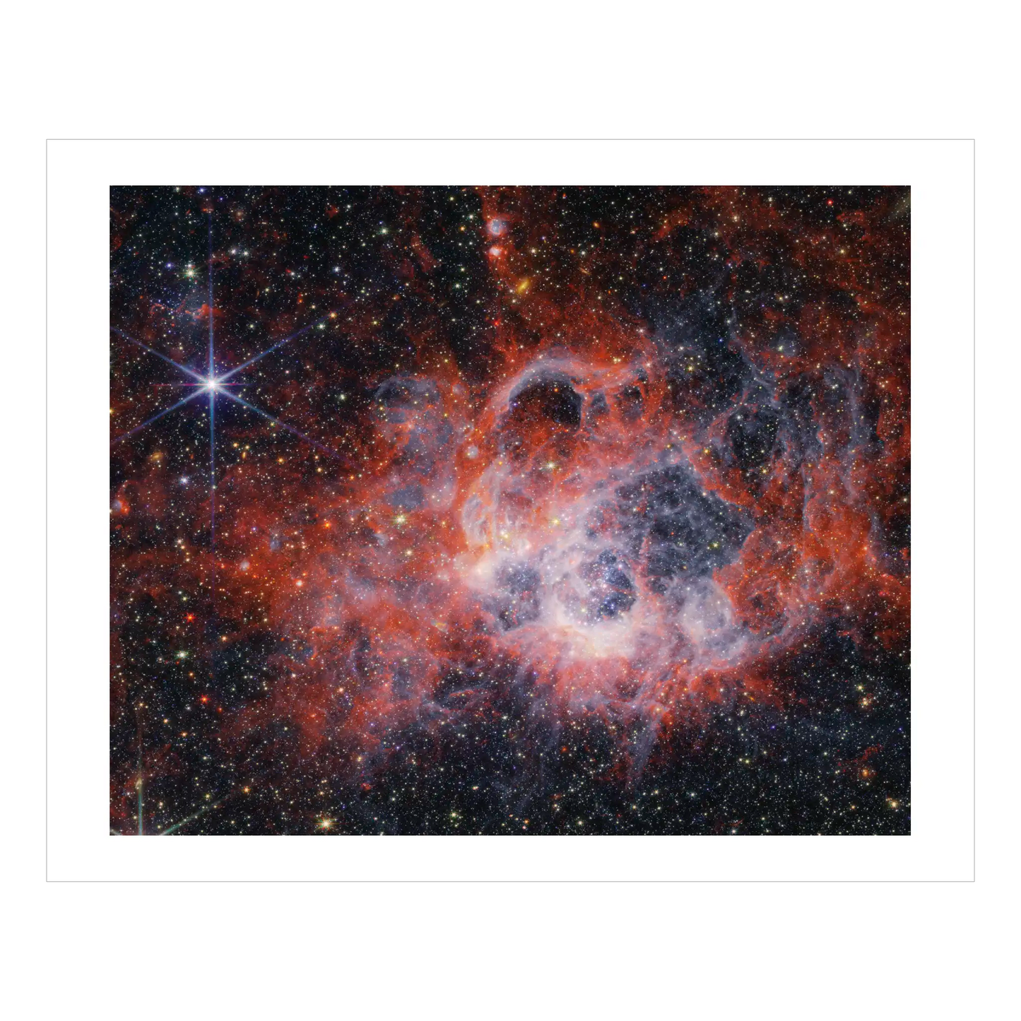 Peering Into the Tendrils of Star-forming Region NGC 604 (NIRCam)