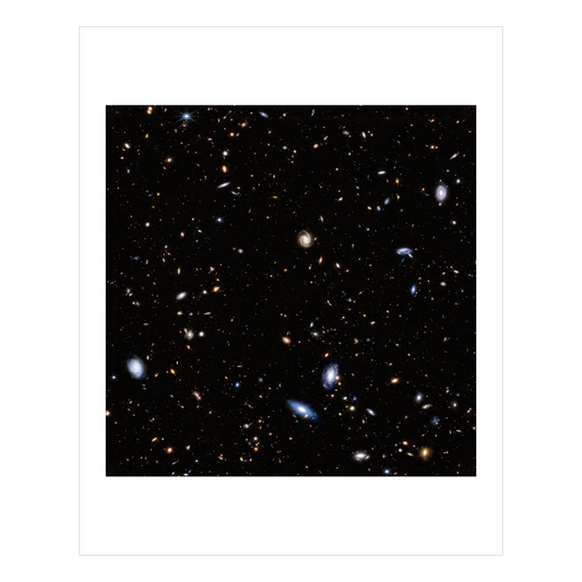 Webb Observations of Hubble Ultra Deep Field (Part B)