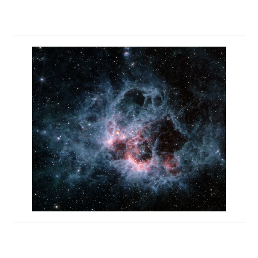 Peering Into the Tendrils of Star-forming Region NGC 604 (MIRI)