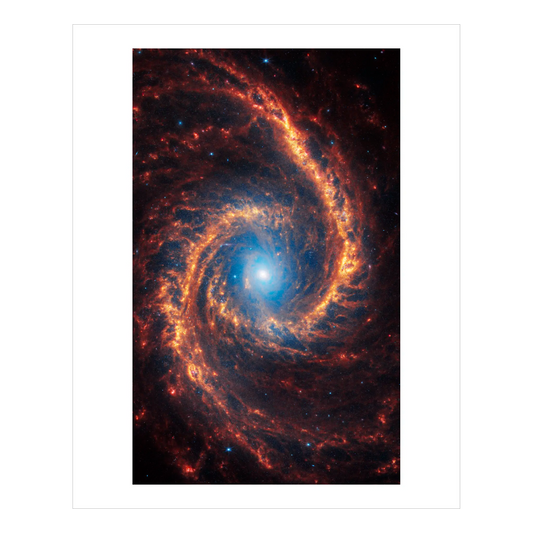 Spiral Galaxy NGC 1566