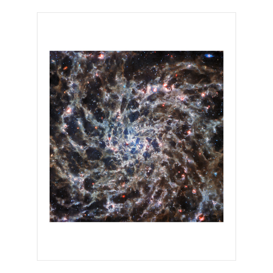 Galaxy IC 5332 Revealed