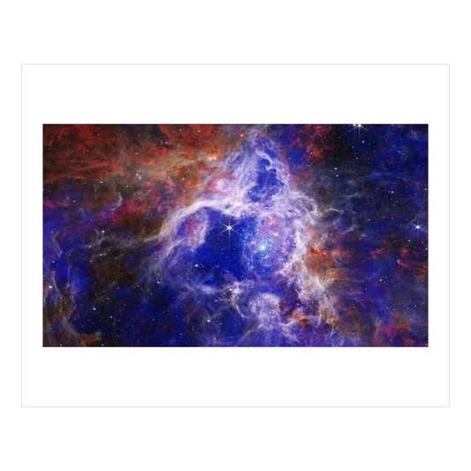 Tarantula Nebula with Chandra's X-rays