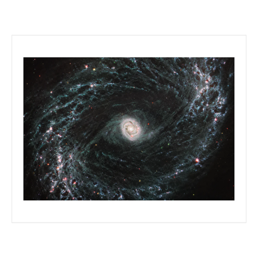 Spiral Galaxy NGC 1433
